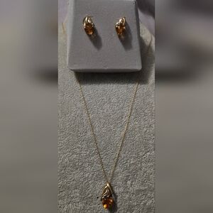 Elegant Gold and Amber Jewelry Set